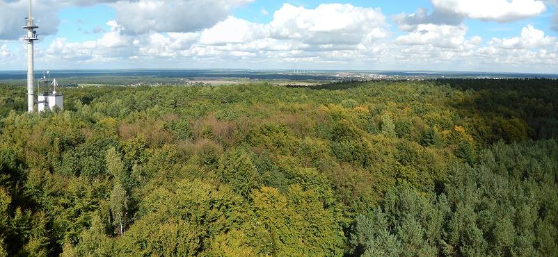 Blick in Richtung Rauen und Fürstenwalde