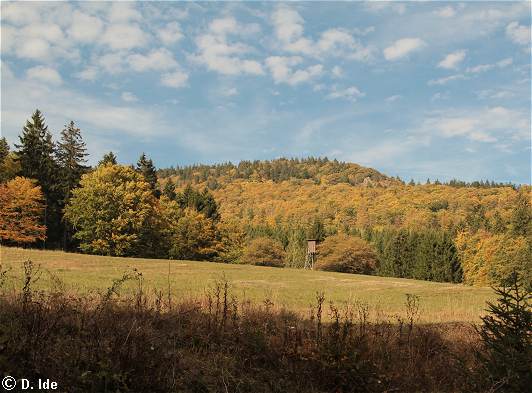 wunderschöne Herbstlandschaft