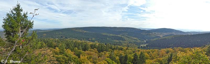 Panorama vom Thüringer Wald oder: Was der Wanderer vom Gipfel sah.