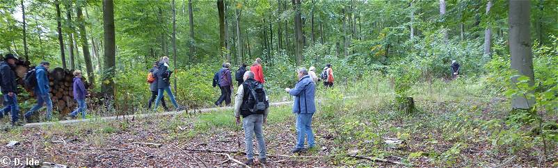 die lang gezogene Wandergruppe