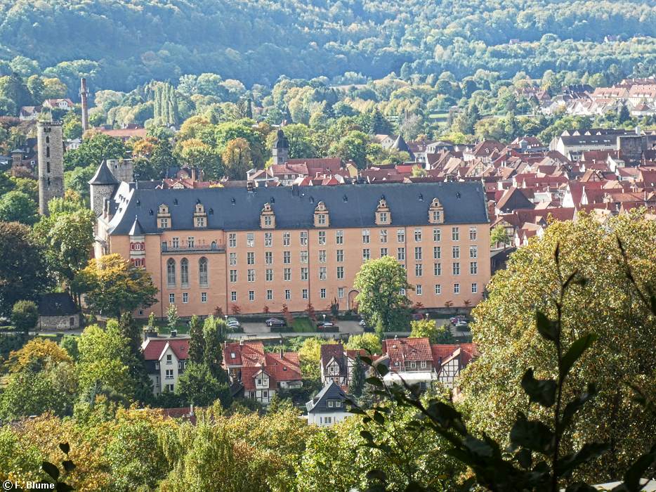 das Welfenschloss Münden