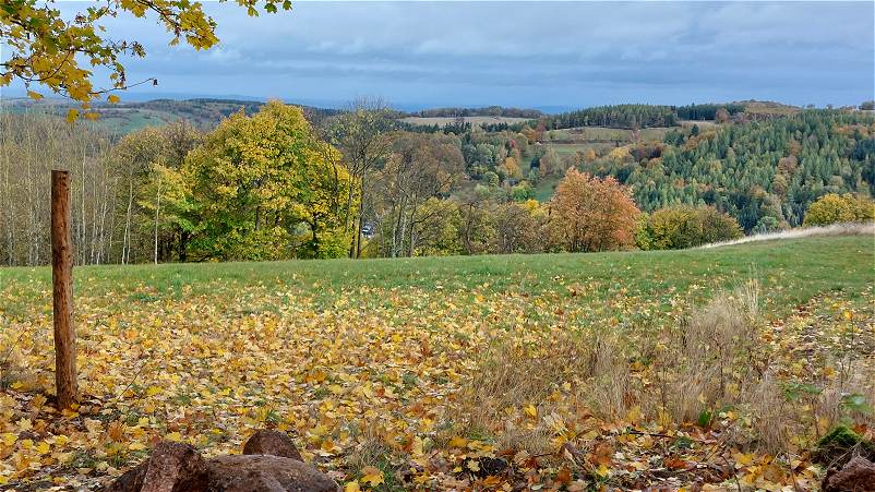 Blick Richtung Geising