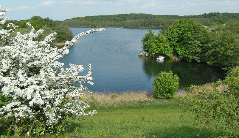 wunderschöne Landschaft am Ziegelaußensee