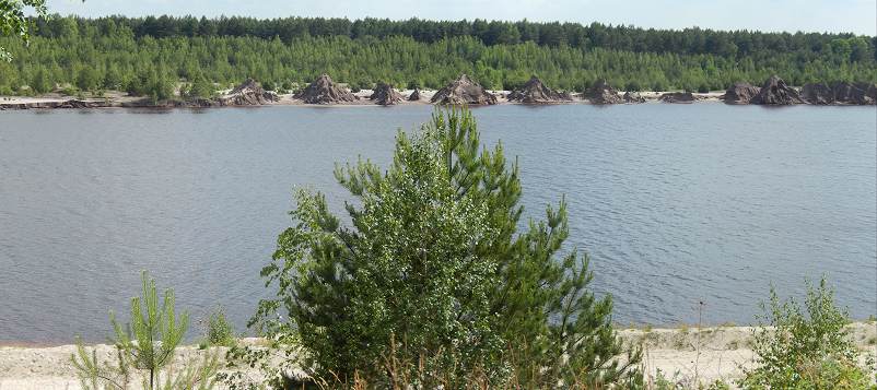 Landschaft am Sabrodter See