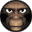 496_first_ape_icon