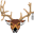 945_antlers_icon