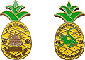 2005 Hawaii Keiki Pineapple Coin
