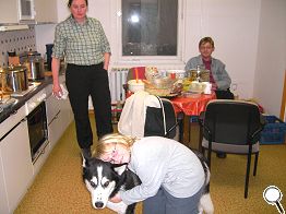 Akita - Liebling der Kinder