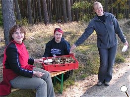 Seht mal, so viele Pilze!