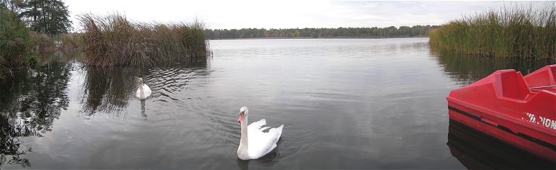 Idylle am Köthener See