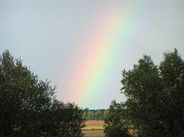 die schöne Seite des Regens - ein Regenbogen über dem Bruch