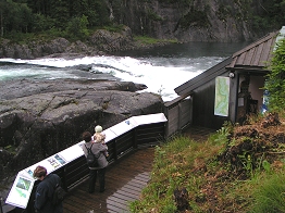 Außenanlagen des Lachsstudios am Suldalsfluss