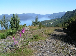 Blick zum Vindafjorden