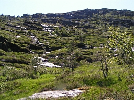 Feuchte Felsen glänzen im heißen Sonnenlicht.