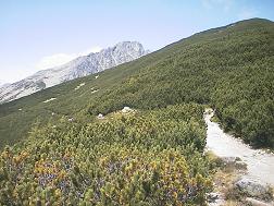 Die Tatra-Magistrale ist ein Wanderweg meist oberhalb der Waldgrenze entlang der gesamten Südseite der Tatra.