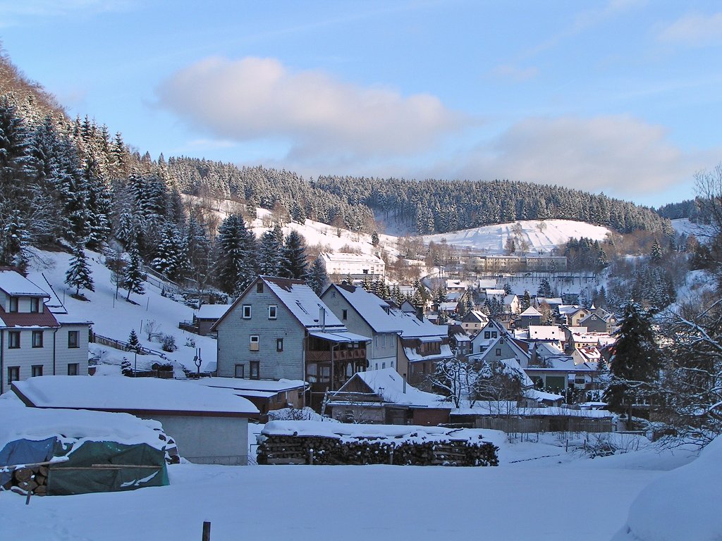 Blick über Fehrenbach