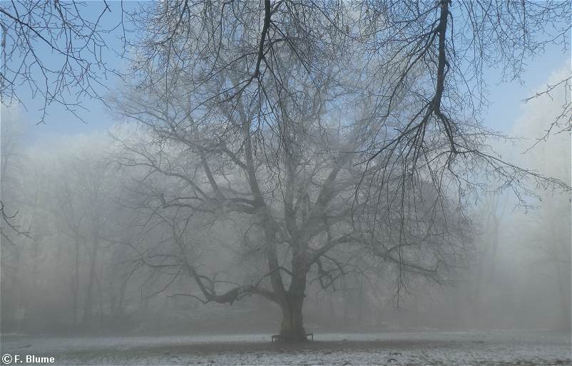 ein kurzer Moment mit blauem Himmel