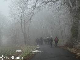 Zurck in den Nebel.