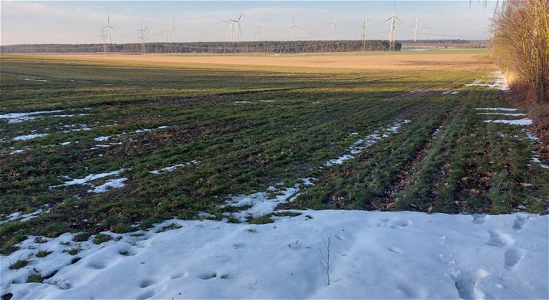 in der Fl�ming-Region angekommen - Wetter ist gut