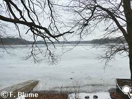 Blick auf den K�rbaer Teich